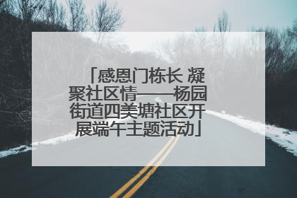 感恩门栋长 凝聚社区情——杨园街道四美塘社区开展端午主题活动