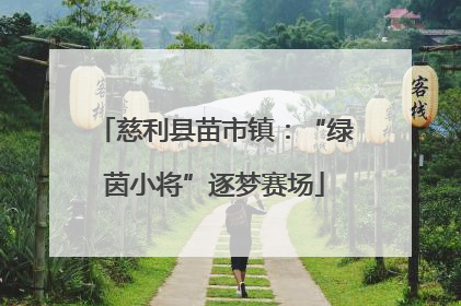 慈利县苗市镇：“绿茵小将”逐梦赛场