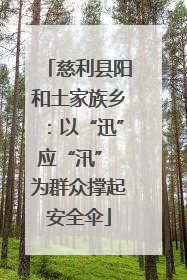 慈利县阳和土家族乡：以“迅”应“汛” 为群众撑起安全伞