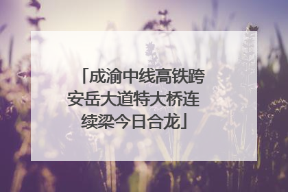 成渝中线高铁跨安岳大道特大桥连续梁今日合龙