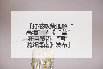 打破政策理解“高墙”？《“营”在自贸港 “画”说新海南》发布