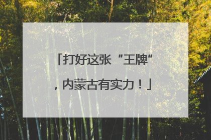 打好这张“王牌”，内蒙古有实力！