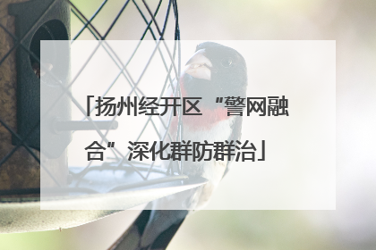 扬州经开区“警网融合”深化群防群治