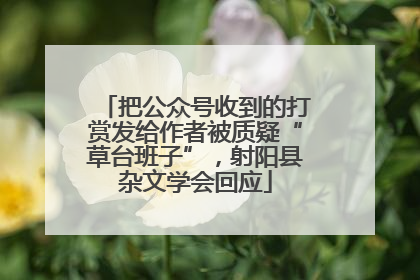 把公众号收到的打赏发给作者被质疑“草台班子”，射阳县杂文学会回应