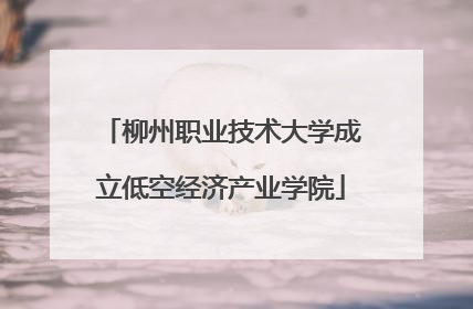 柳州职业技术大学成立低空经济产业学院