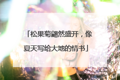 松果菊翩然盛开，像夏天写给大地的情书