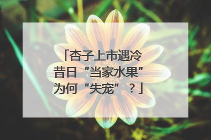 杏子上市遇冷 昔日“当家水果”为何“失宠”？