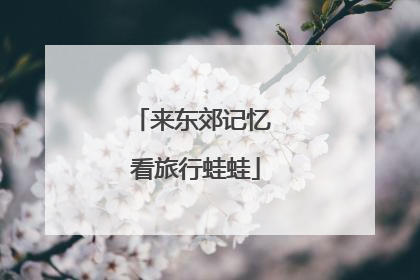 来东郊记忆 看旅行蛙蛙