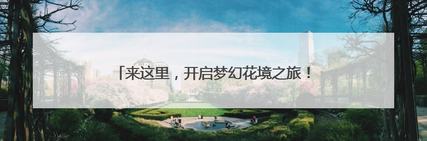 来这里，开启梦幻花境之旅！滨江森林公园绣球花展邀你共赴一场与云朵、花儿的浪漫之约