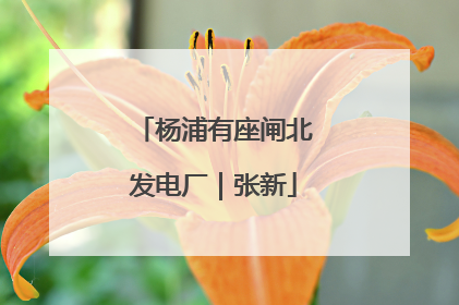杨浦有座闸北发电厂｜张新