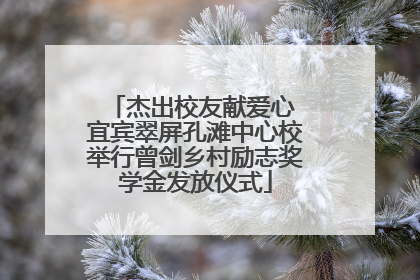 杰出校友献爱心 宜宾翠屏孔滩中心校举行曾剑乡村励志奖学金发放仪式
