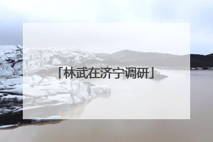 林武在济宁调研