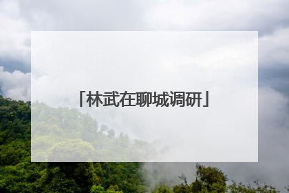林武在聊城调研