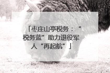 枣庄山亭税务：“税务蓝”助力退役军人“再起航”