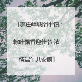 枣庄峄城阴平镇：粽叶飘香迎佳节 浓情端午共安康