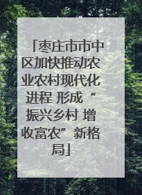 枣庄市市中区加快推动农业农村现代化进程 形成“振兴乡村 增收富农”新格局