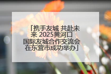 携手友城 共赴未来 2025黄河口国际友城合作交流会在东营市成功举办