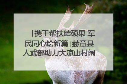 携手帮扶结硕果 军民同心绘新篇∣赫章县人武部助力大凉山村阔步乡村振兴路