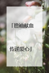 撸袖献血 传递爱心