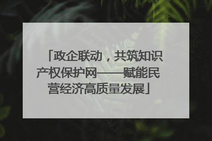 政企联动，共筑知识产权保护网——赋能民营经济高质量发展