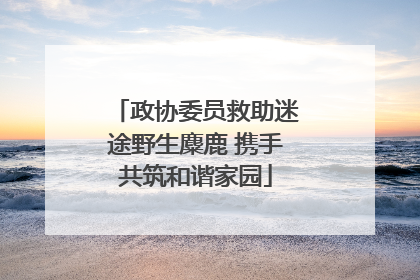政协委员救助迷途野生麋鹿 携手共筑和谐家园