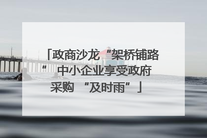 政商沙龙“架桥铺路” 中小企业享受政府采购 “及时雨”