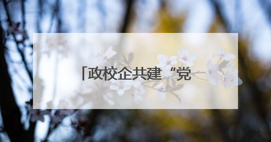 政校企共建“党建+康养”联盟，枣庄职业学院打造产教融合新范式