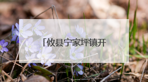 攸县宁家坪镇开展无偿献血活动