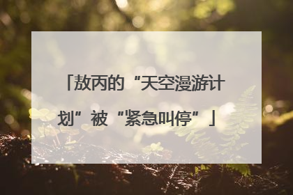 敖丙的“天空漫游计划”被“紧急叫停”