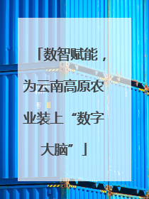 数智赋能，为云南高原农业装上“数字大脑”