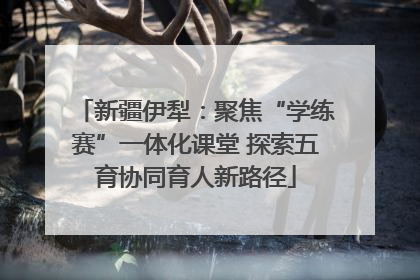 新疆伊犁：聚焦“学练赛”一体化课堂 探索五育协同育人新路径