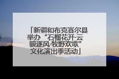 新疆和布克赛尔县举办“石榴花开·云骥逐风·牧野欢歌”文化演出季活动