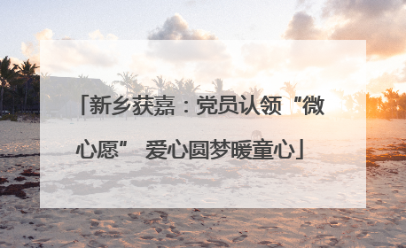 新乡获嘉：党员认领“微心愿” 爱心圆梦暖童心