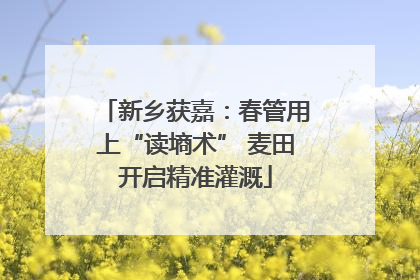 新乡获嘉：春管用上“读墒术” 麦田开启精准灌溉