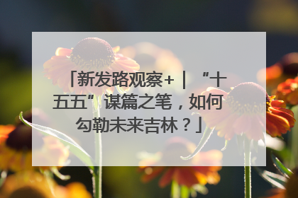 新发路观察+｜“十五五”谋篇之笔，如何勾勒未来吉林？