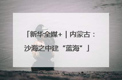 新华全媒+｜内蒙古：沙海之中建“蓝海”