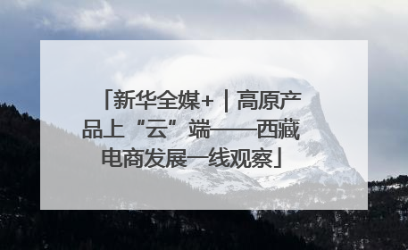 新华全媒+｜高原产品上“云”端——西藏电商发展一线观察