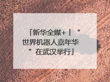 新华全媒+丨“世界机器人嘉年华”在武汉举行