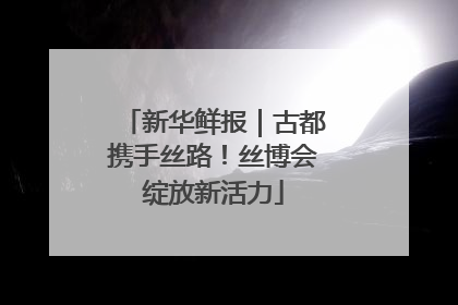 新华鲜报｜古都携手丝路！丝博会绽放新活力