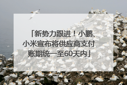 新势力跟进！小鹏、小米宣布将供应商支付账期统一至60天内