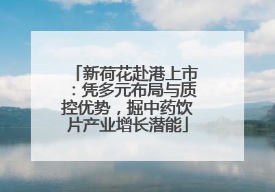 新荷花赴港上市：凭多元布局与质控优势，掘中药饮片产业增长潜能