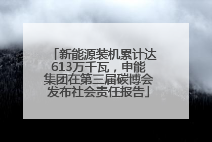 新能源装机累计达613万千瓦，申能集团在第三届碳博会发布社会责任报告