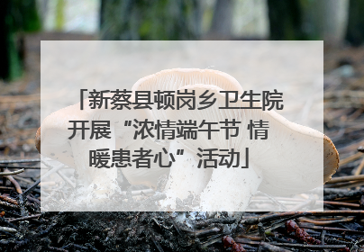 新蔡县顿岗乡卫生院开展“浓情端午节 情暖患者心”活动