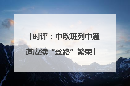 时评：中欧班列中通道赓续“丝路”繁荣