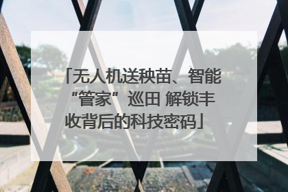 无人机送秧苗、智能“管家”巡田 解锁丰收背后的科技密码