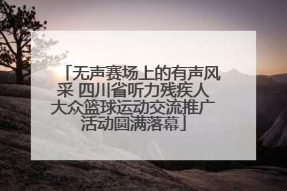 无声赛场上的有声风采 四川省听力残疾人大众篮球运动交流推广活动圆满落幕