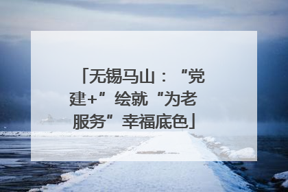 无锡马山：“党建+”绘就“为老服务”幸福底色