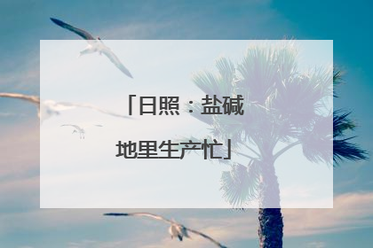 日照：盐碱地里生产忙