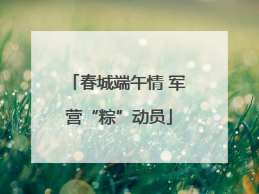春城端午情 军营“粽”动员