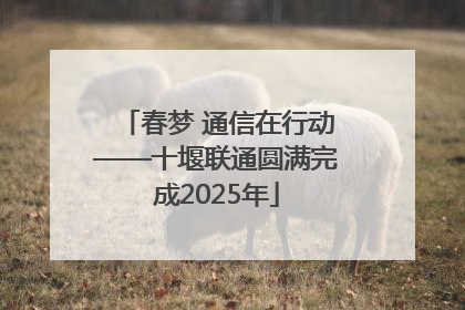 春梦 通信在行动——十堰联通圆满完成2025年